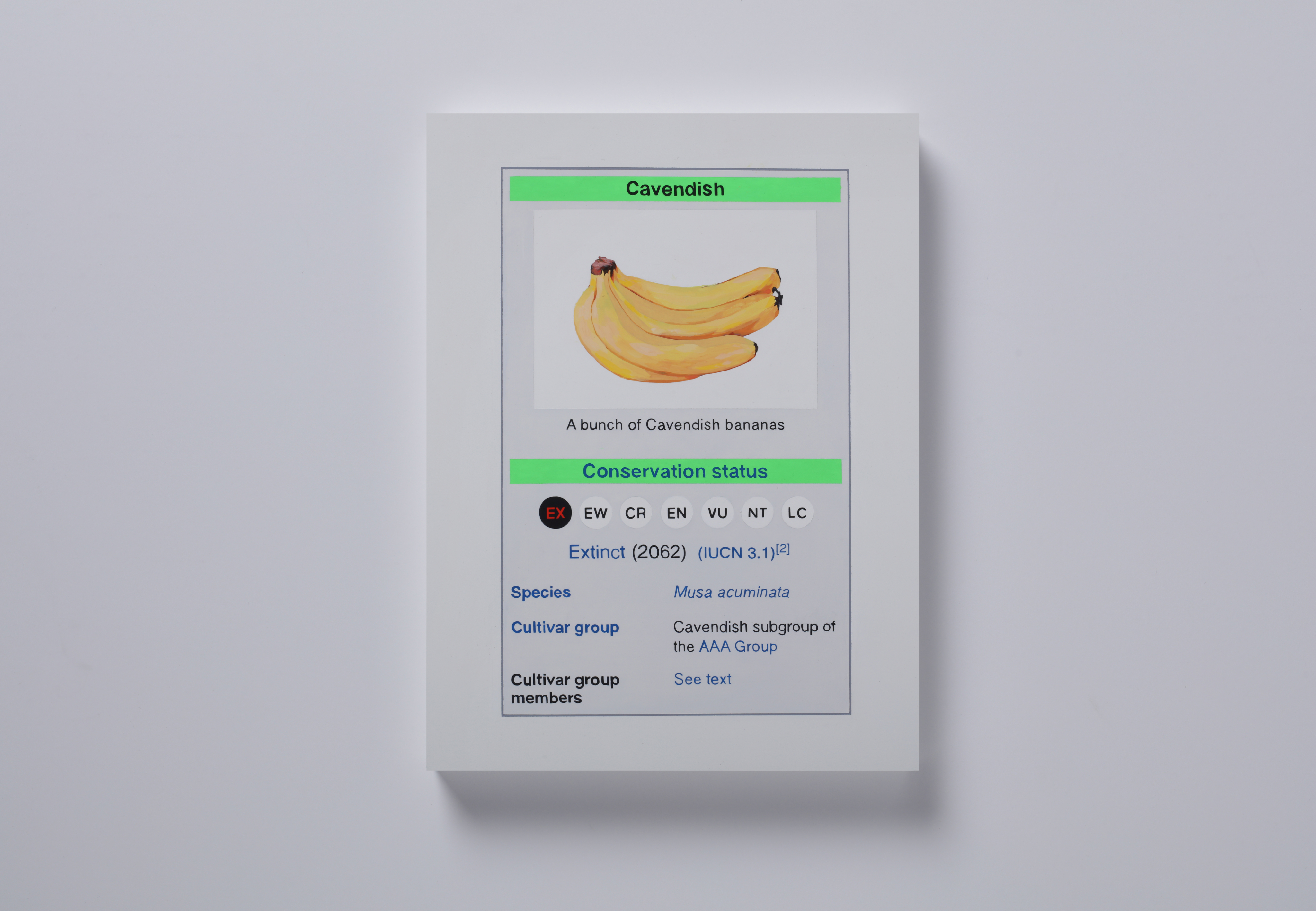 Painting of Cavendish bananas going extinct in 2062